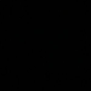 Meet your Posher, Ant